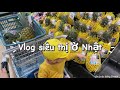 Không ngờ một buổi đi siêu thị ở Nhật lại như thế này…| Cuộc Sống Nhật Bản