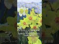 【1分クラシック】心やわらぐベートーヴェン #クラシック #リラックス #bgm