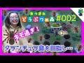 【あつ森】キモ過ぎ注意!タランチュラ島を目指す🌴#002【ももかチャンネル】