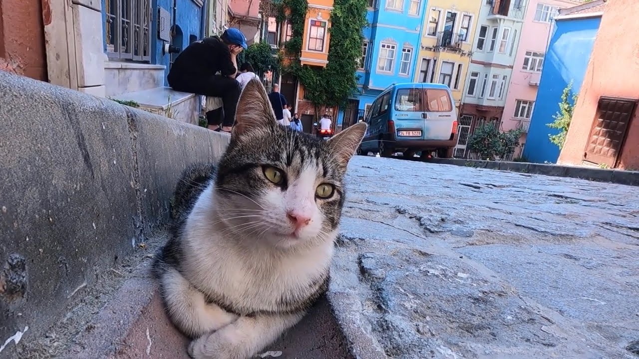 istanbul historical places