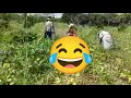 DONA MARIA MOSTRANDO AS BELEZAS DO ROÇADO 🏜️👩‍🦳