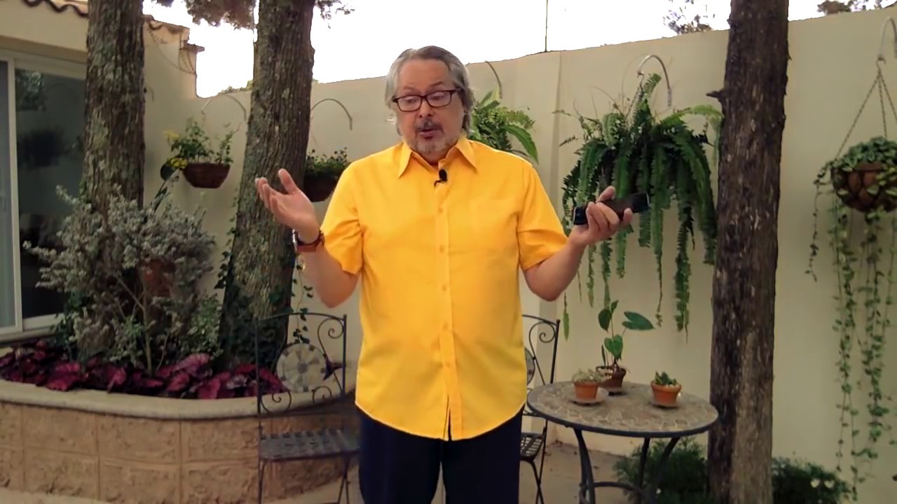 No le digas a otros que hacer.