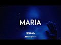 Afrobeat Instrumental 2024 Burna Boy Ft Rema Type Beat "MARIA" Afrobeat Type Beat