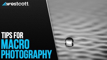 Mastering Macro Photography