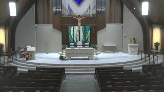 8:00 AM Weekday Mass - July 14, 2026