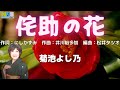 【侘助の花】菊池よし乃 作詞:にしかずみ 作曲:井川裕多加 編曲:松井タツオ