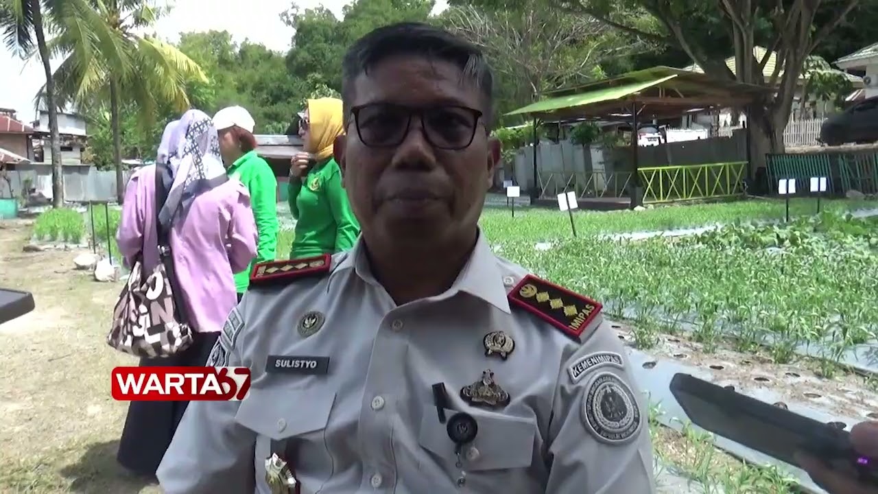 DUKUNG KETAHANAN PANGAN NASIONAL LAPAS KELAS II A GORONTALO GELAR PANEN RAYA