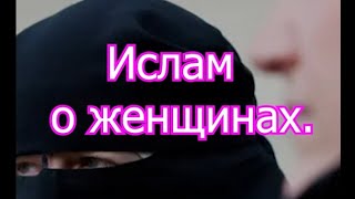 Отношение к женщинам в Исламе. #коран #ислам #втоп #арабы #евреи #израиль #религия #мухаммад