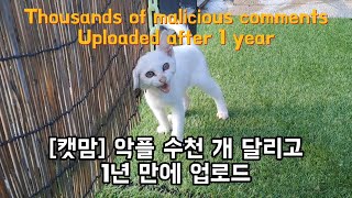 Why do you write malicious comments only on my cat channel?! by 펜션 고양이랑 6,673 views 6 months ago 6 minutes, 30 seconds