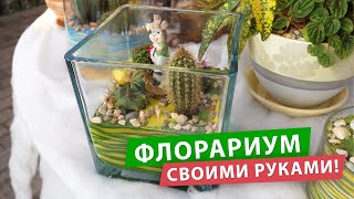 Флорариум своими руками