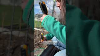 Soil temperature chart - A guide to spring planting based on soil temperatures, not outside temps