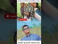 সবচেয়ে ভাইরাল হওয়ার মতো টাইটেল: 👉 “😭 এমন ভালোবাসা সবার জীবনে আসে না #viralvideo #trending
