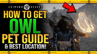 Crimson Desert  How To Get Owl Pet Tame  Best Owl Locaition Guide  How To Catch Owl