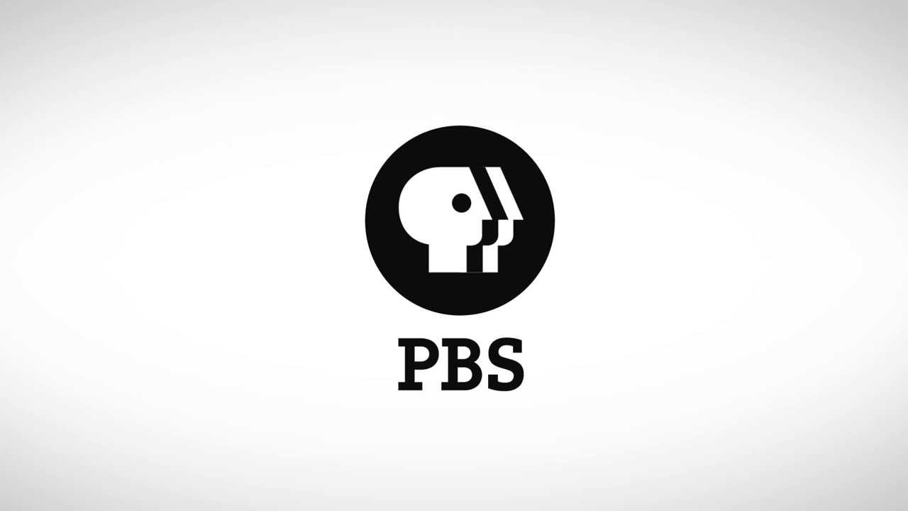 Разъем pbs 2