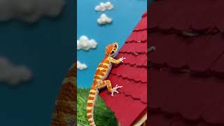 kucing iguana bebek tc k gecko Giant Gecko Climbs Tiny House Roof In 4k