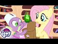 My Little Pony em português 🦄Reunião da Família Apple | A Amizade é Mágica | Episódio Completo