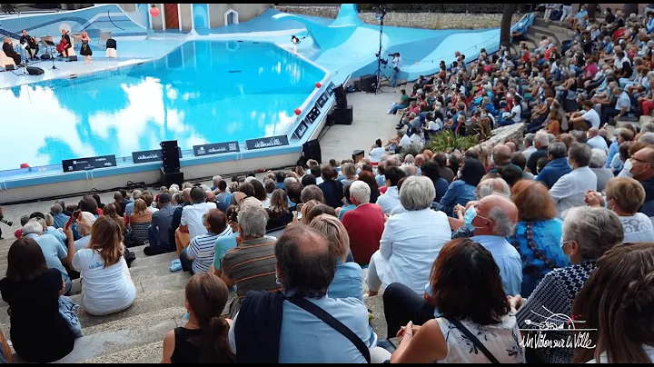 Un Violon sur la Ville 2021 - Nuit de bohme au Zoo...