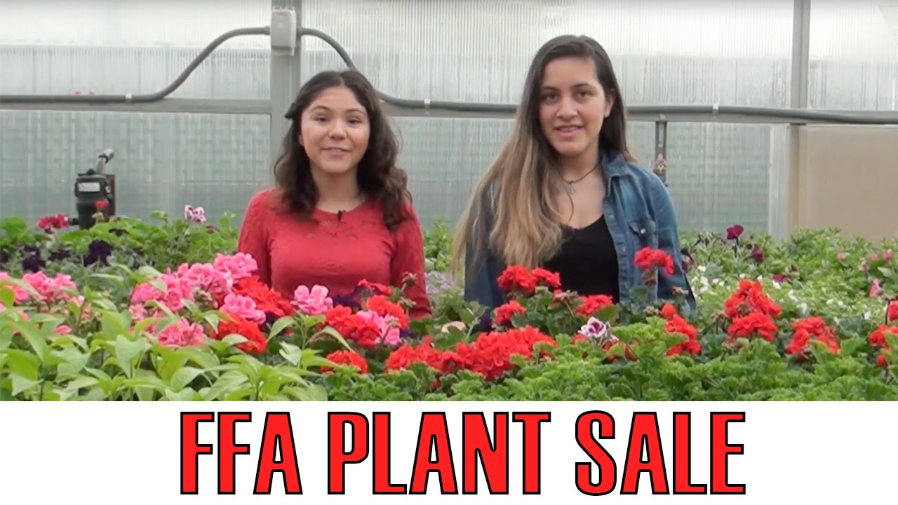 FFA Plant Sale May 5th7th YouTube