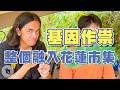 基因作祟，整個融入花蓮市集｜#零客套｜喬瑟夫 ChillSeph