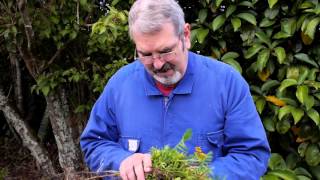 Beekeeping Basics with Bruce Clow - Storing Boxes for the Winter.