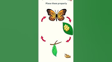 DOP 3 Gameplay Level 364 Shorts  funny video games Answer  Subscribe apu gaming.S M O O T H graphics