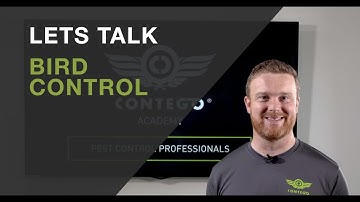 Contego Academy - Bird Control