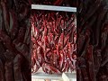 고추 건조시간 온도