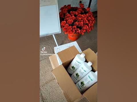 Алое Вера с коприва за кръвоносната система и за разширени вени помага ...