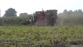 Lvdm. Van Bruwaene R 3