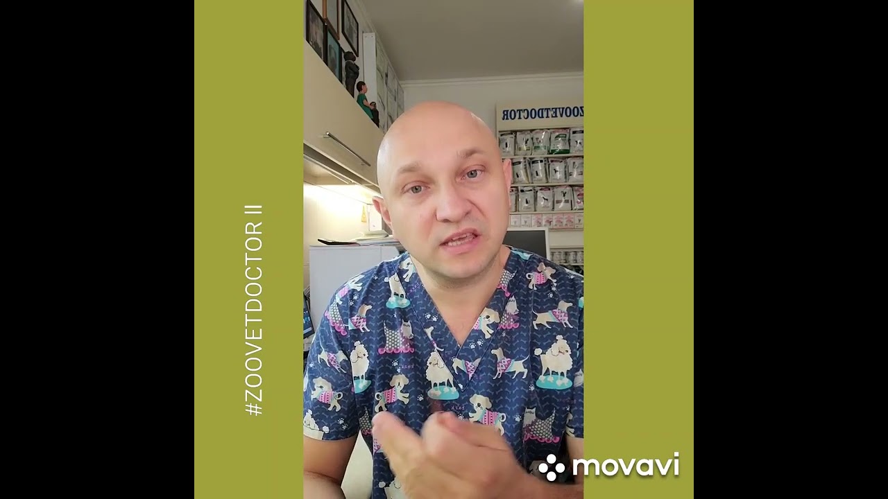 Что такое дифиллоботриоз – это !!!