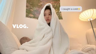 (SUB)부비동염이 뭐죠…😷감기걸려 강제 집순이 된 vlog