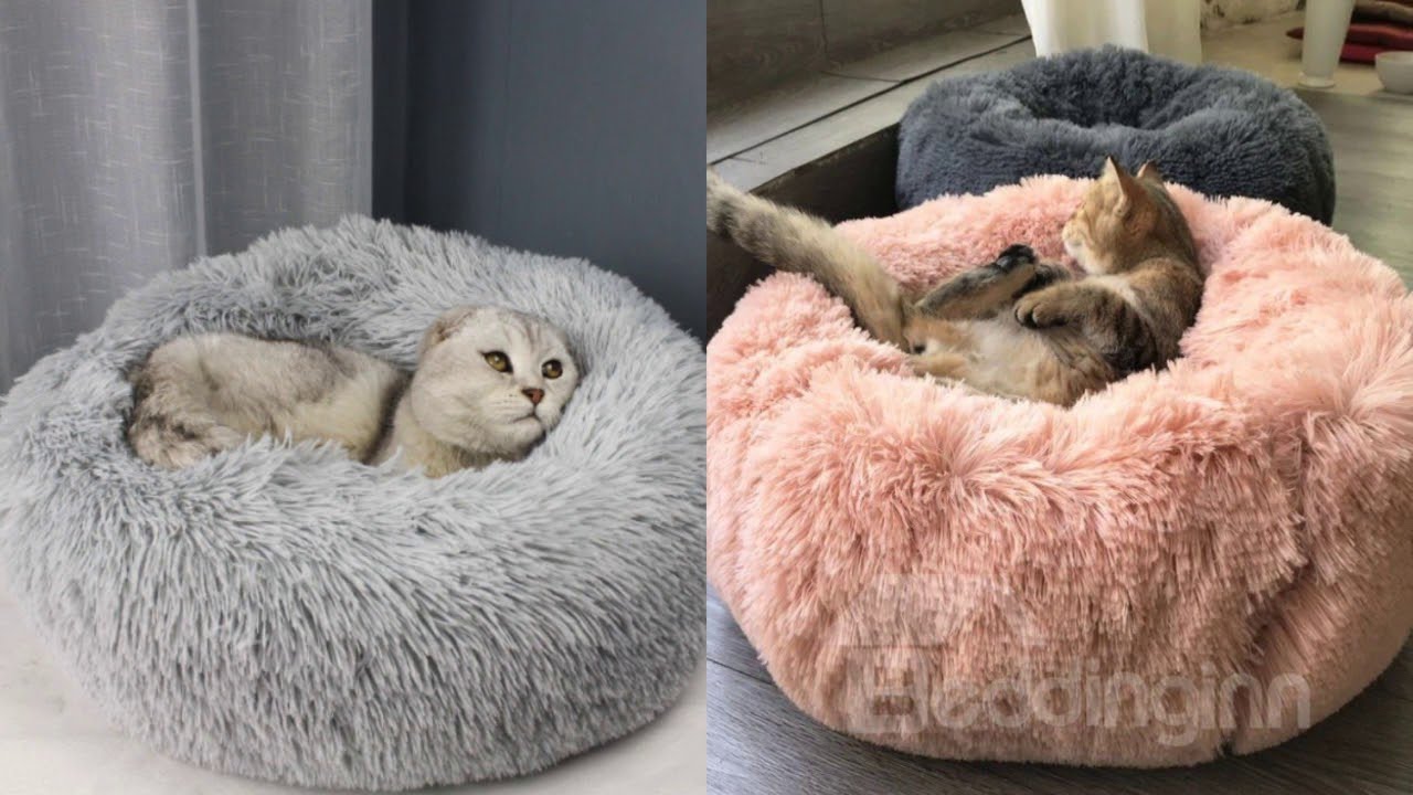 Deluxe Long Plush Bed For Cats ZIP Range YouTube