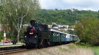 Parním vlakem z Brna do Ivančic na oslavy chřestu a vína se Všudybylkou 354.195| 19.5. 2024