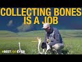 Collecting Animal Bones in Alaska | Best Job Ever
