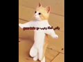 اغنية القطة المشمشية الراقصة هركليز بيحب زينة مش حتبطل ضحك ضحك السنييين