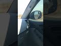 What you see in Phoenix