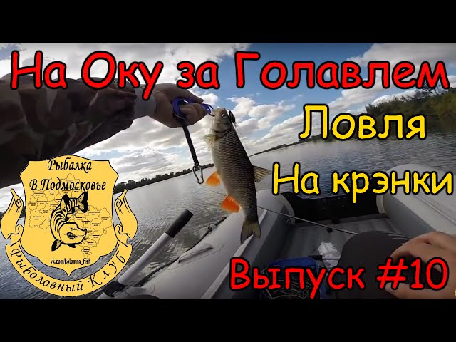 Видео о рыбалке №1675