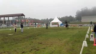 Equina reúne en Silleda a más de 200 caballos