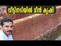 വീട്ടിന്റെ തറക്കടിയിൽ മീൻ കൃഷി😍| Fish Farming Under The Home | Fish Farming Technology