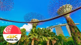 Singapore Walk - Gardens By The Bay, October 2020 -  3D Binaural Audio [4K]