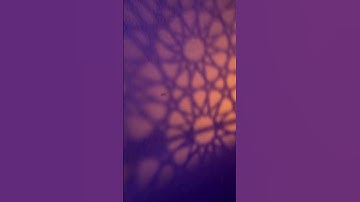 القارئ : حسين السليطين | سورة المنافقون #اكسبلور #تلاوة #قرآن #راحة_نفسية #قران_كريم #ترتيل #لايك