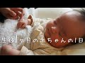 【一日密着】生後1カ月の赤ちゃんの一日【A day in the life of 1 months old baby】