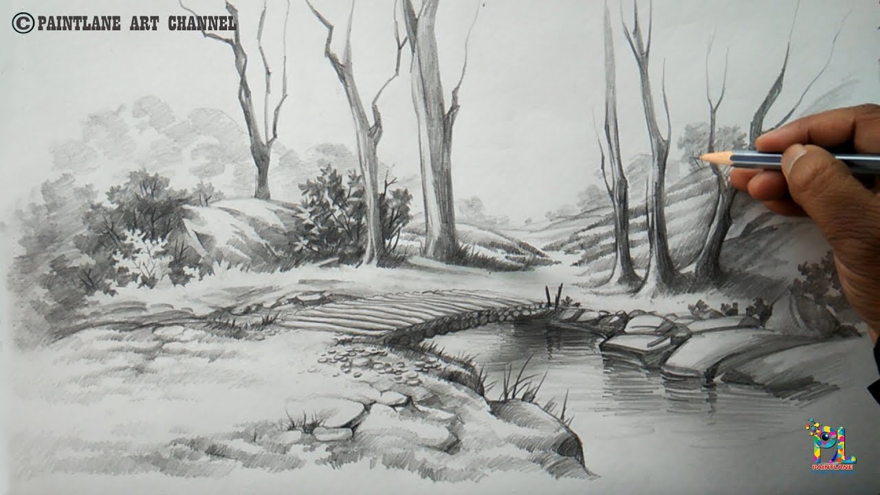 Featured image of post Easy Forest Scenery Drawing / This video is very beautiful scenery drawing video so please like and comment.