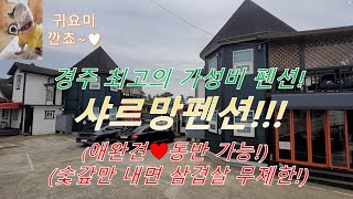 가족 여행으로 경주 갔다 온 김대리의 샤르먁 펜션 리뷰 (여행, 1)