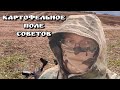ПОЛЕ СОВЕТОВ 28.09.25. #коп #находки #клад #кладоискатель #хобби #coin #fiskars #digger #МОНЕТЫ 