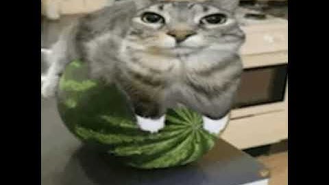 1v1ing Randoms In Global Chat