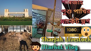 শারজাহ পশু পাখির মার্কেট ভ্লগ 🐐🐓 || Sharjah Livestock Market Vlog 2025 🇦🇪