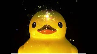 Enter the Duckweb