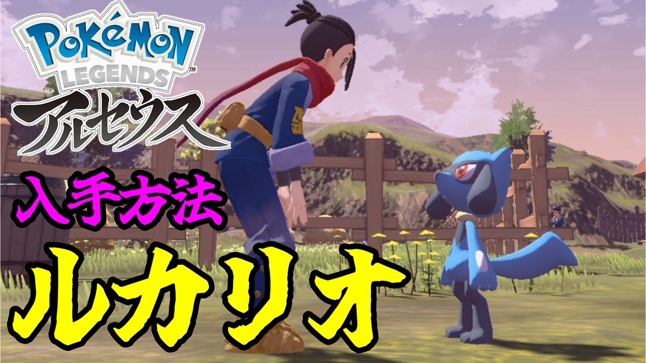 ルカリオの出現場所 リオル レジェンズアルセウス Youtube