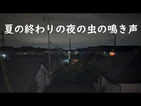 夏の夜の虫の鳴き声 郊外の住宅街にて 自然音 環境音 BGM 睡眠用 作業用